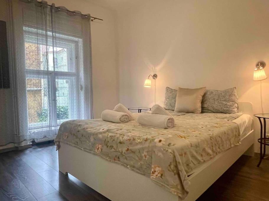 Knezits Spacious Ac Terrace Free Parking Budapest Luaran gambar